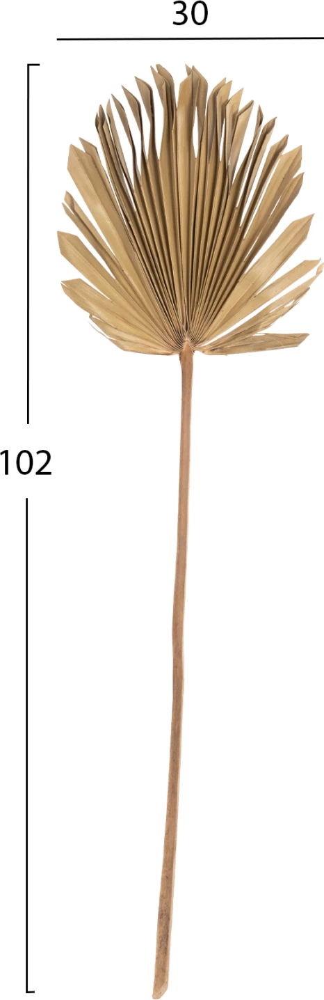 Stenska dekoracija FH7876 posušeni list palme v naravni barvi 30x102x3 cm