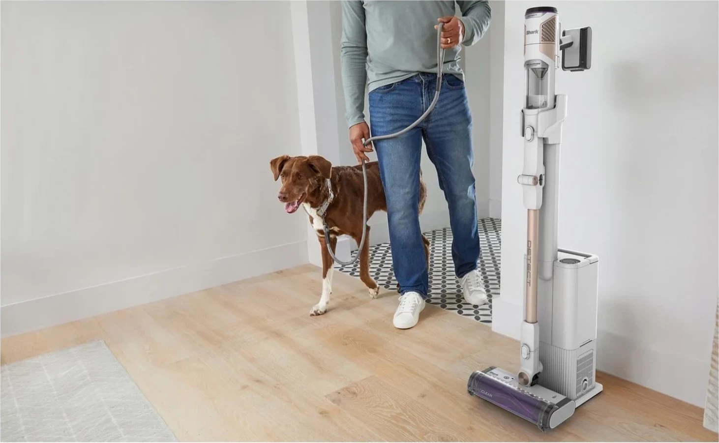 Sesalnik, zlat Shark IW3612EU