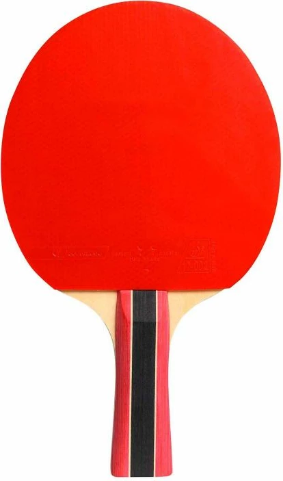 Namiznoteni lopar Cornilleau SPORT 300, za ženske in moške