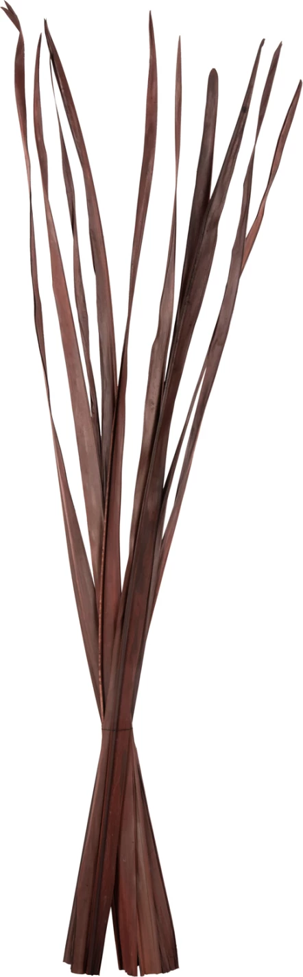 Dekorativni šopek iz posušenih listov meča FH7965 10 kosov rjavi 120H cm