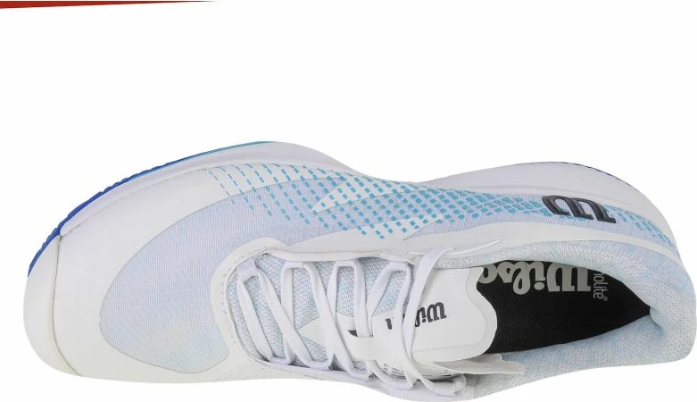 Tenis čevlji Wilson Kaos Swift 1.5 Clay, moški, beli