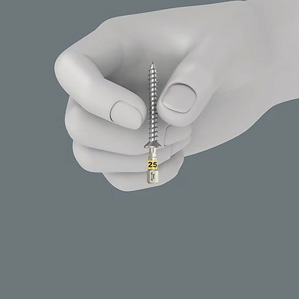 Set bitov 29 kosov, 1/4", PH, PZ, Torx Plus, z držalom in škatlo, Wera, črno/metalno