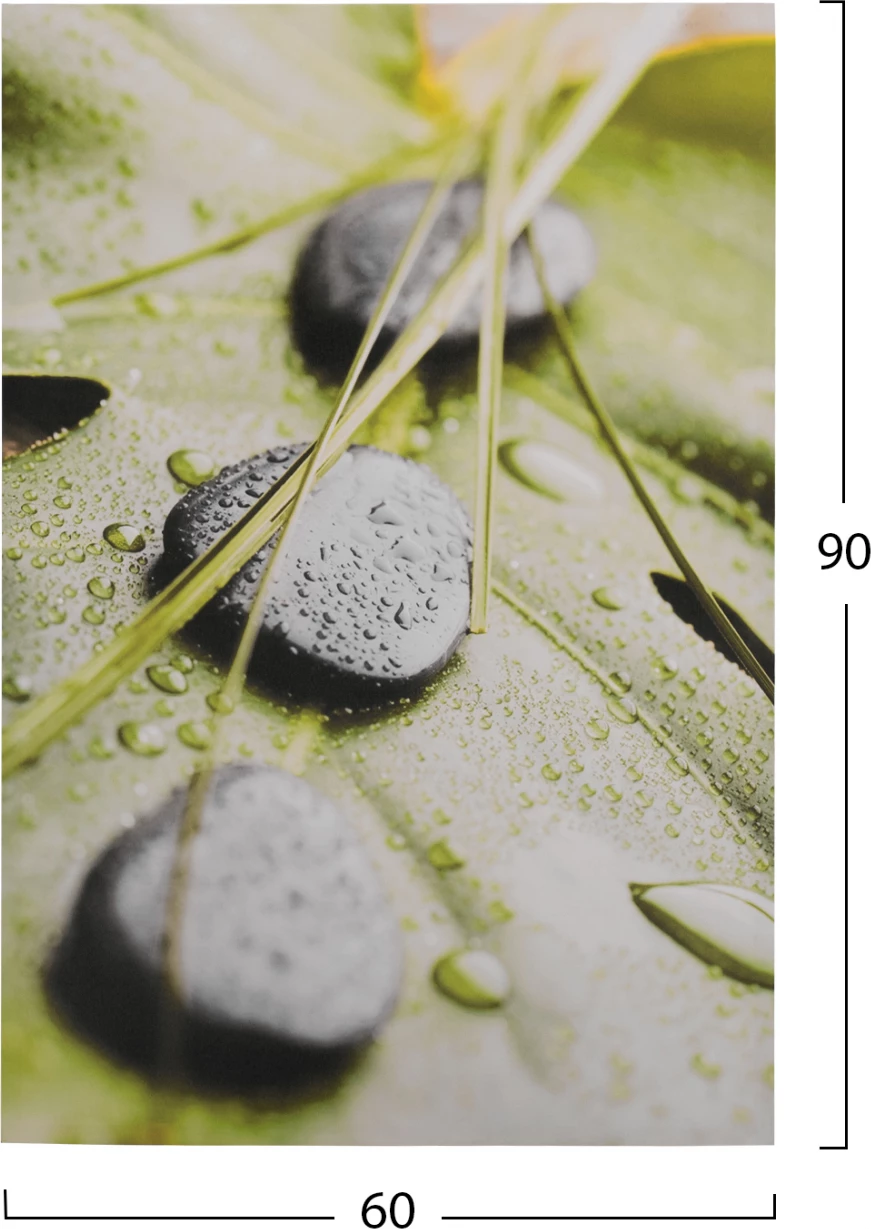 Platno Kamni FH7154.10 60X90X2.5 cm