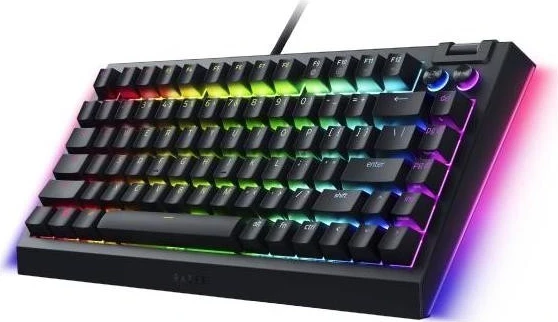 Mehanska tastatura z RGB osvetlitvijo, Razer BlackWidow V4, USB-Type C, črna