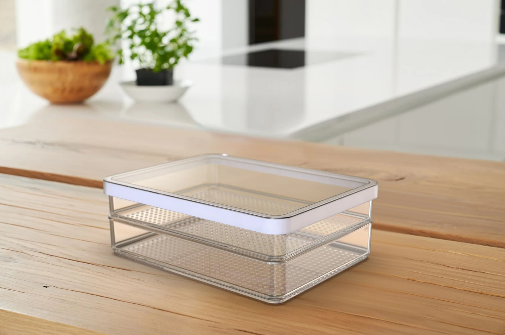 Posoda za živila Rotho Rondo Loft, 2 x 0,85 l, prozorna