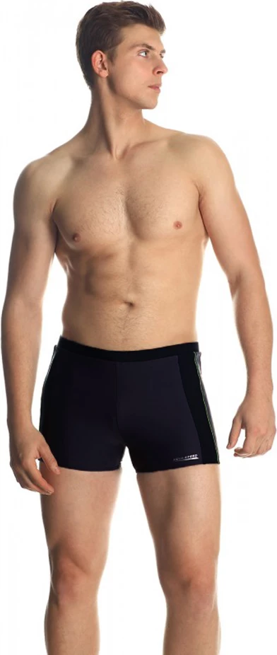 Kopalne kratke hlače za moške Jason AQUA-SPEED, sive/črne/zelene