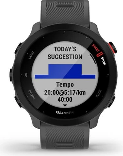 Pametna ura Garmin Forerunner 55, 42 mm, GPS, siva