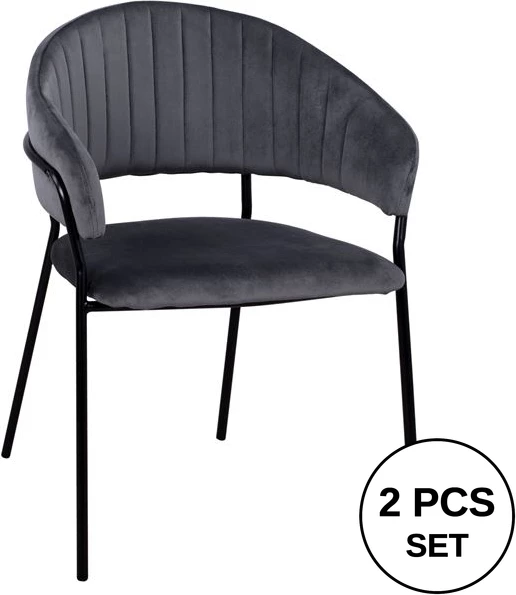 Naslanjač Theodore FH8520.01 iz sivega žameta s kovinskim ogrodjem 55x50x82cm, set 2 kosov