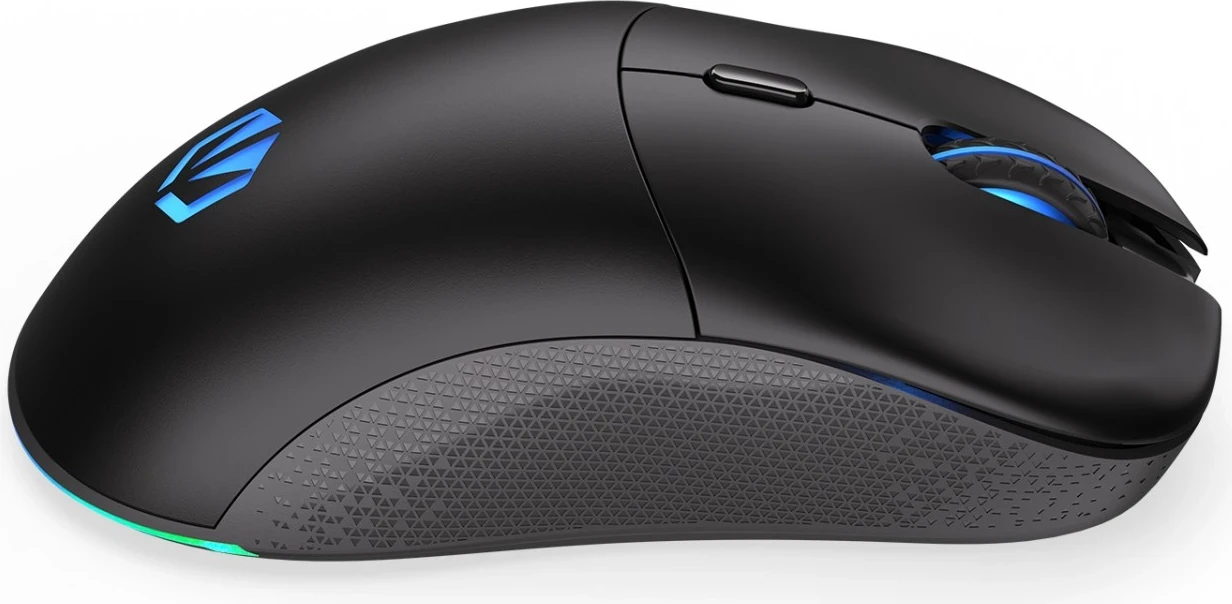 Brezžična miška Endorfy Gem Plus, RGB, 1,6 m, črna