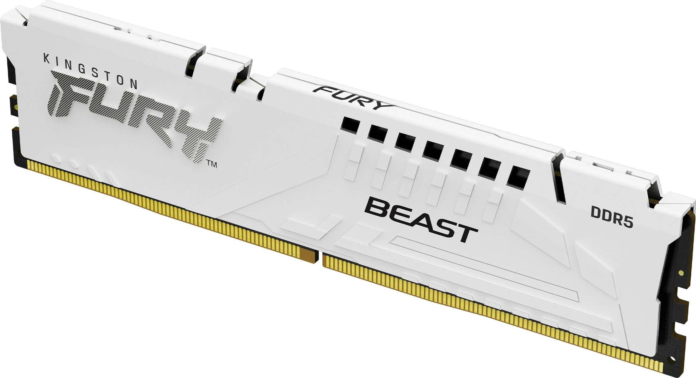 RAM pomnilnik Kingston FURY Beast 64GB (2x32GB) DDR5 6400MT/s CL32, bel