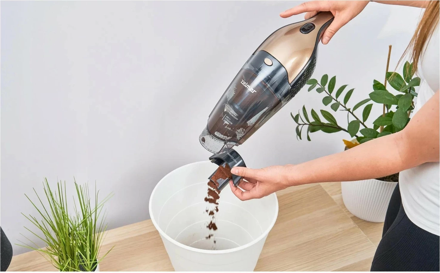 Sesalnik, 22V, zlata Zelmer ZSVC422