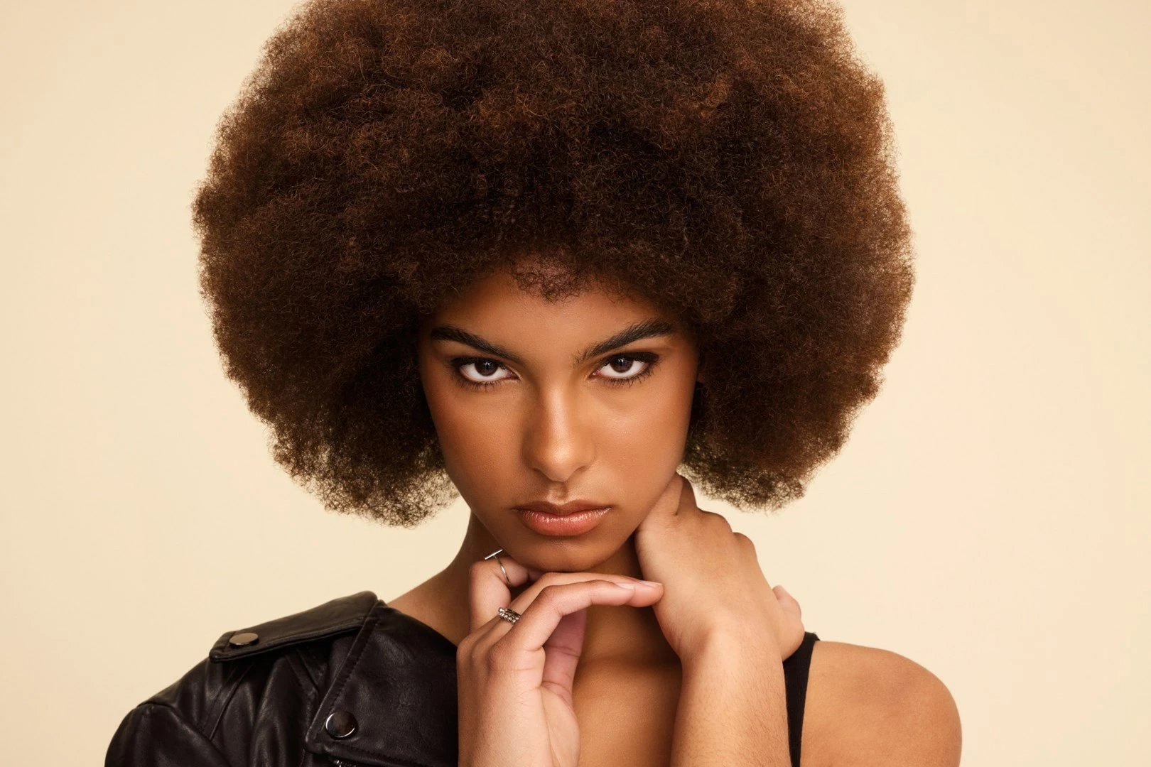 Multistyler Shark HD333EU, bel