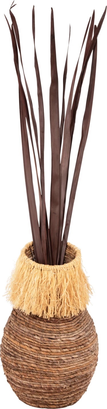 Dekorativni šopek iz posušenih listov meča FH7965 10 kosov rjavi 120H cm