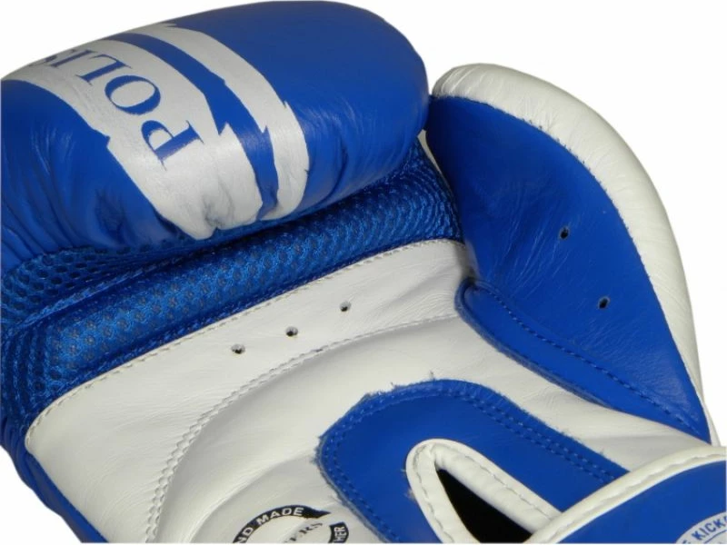 Boksarske rokavice za moške Masters, rdeče in modre