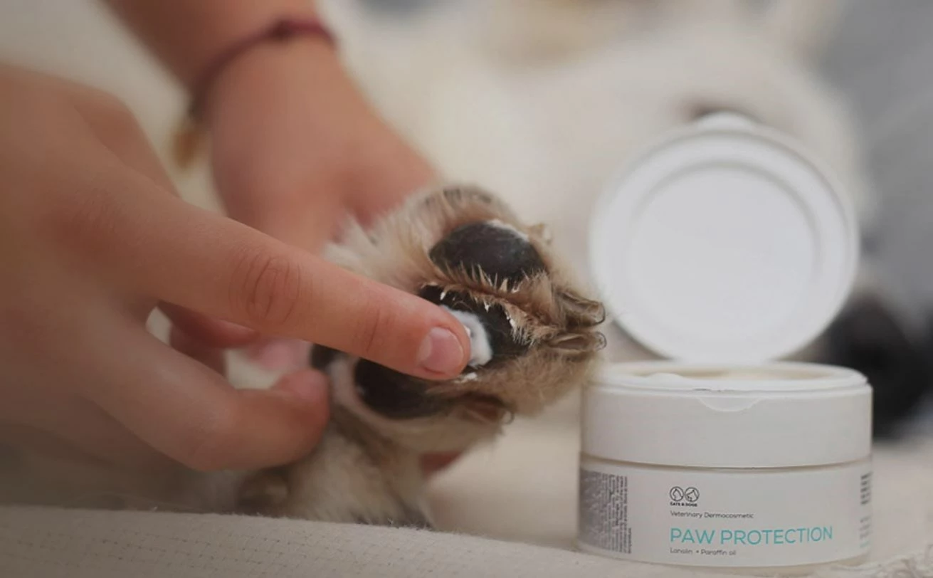 Zaščitna krema za tace VetExpert Paw Protection, 75 ml