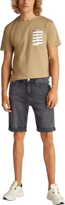 Shorce, Calvin Klein Jeans, moški, siva