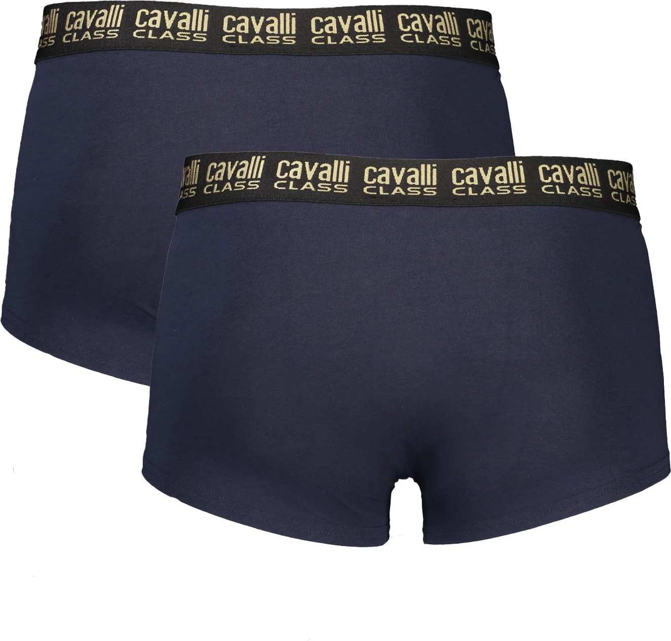 Tanga za moške CAVALLI CLASS, modre
