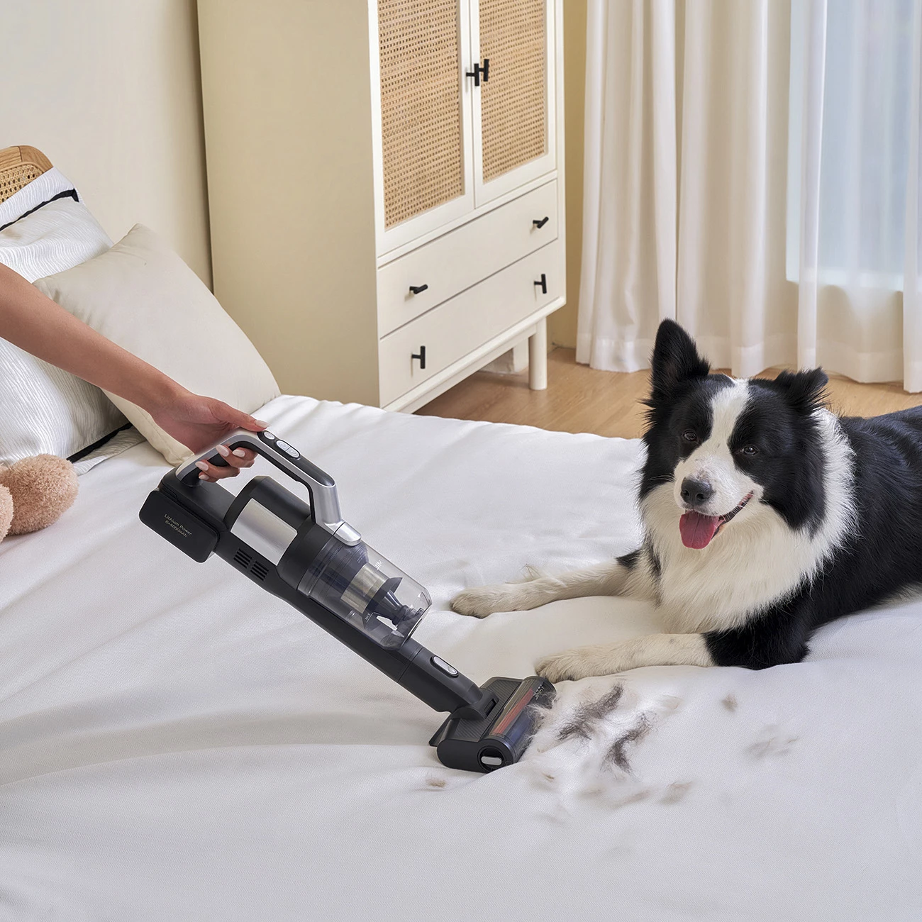 Sesalnik brez kabla 3-v-1, 400 W, 4000 mAh, 0,6 L, srebrno/siv JIMMY PW11