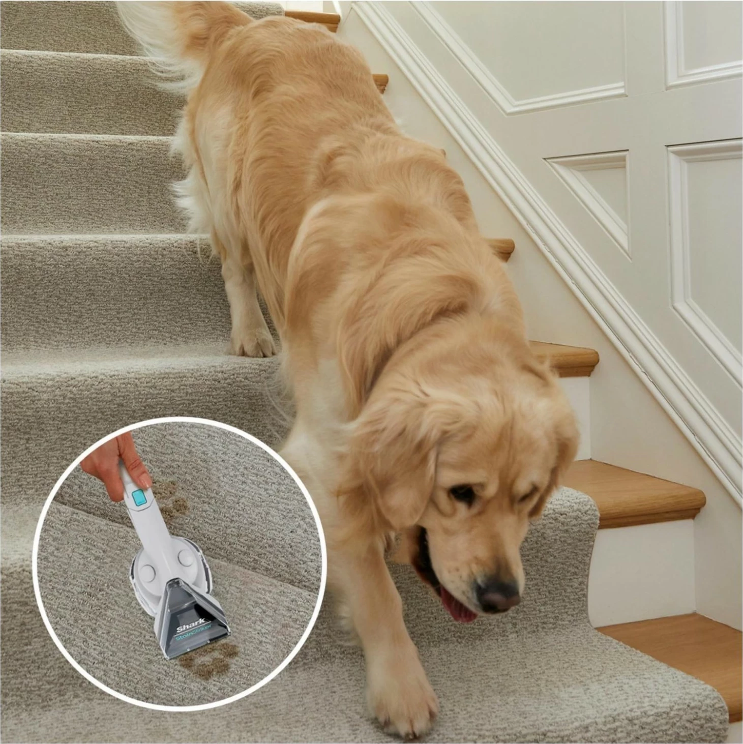 Pometno-vlažilni čistilec, Shark PX200EUT, bel