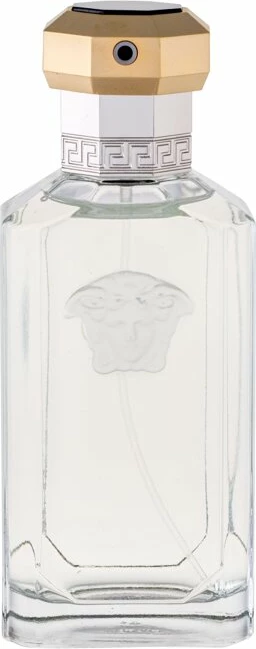 Eau de Toilette za moške Versace Dreamer, 100 ml