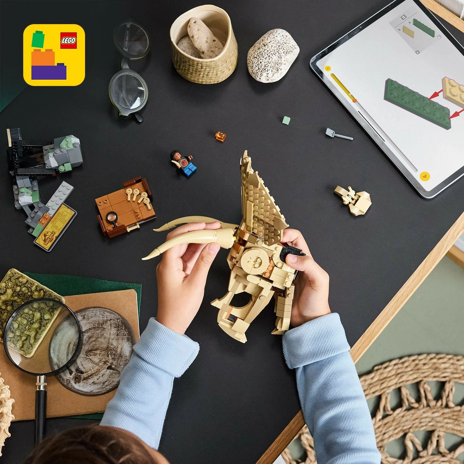 Model fosila Triceratopsa, LEGO Jurassic World 76969, 468 kosov, večbarven