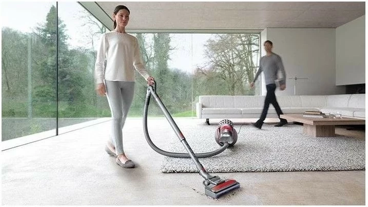 Sesalnik brez vrečke za trda tla in preproge Dyson Big Ball Parquet 2, srebrn