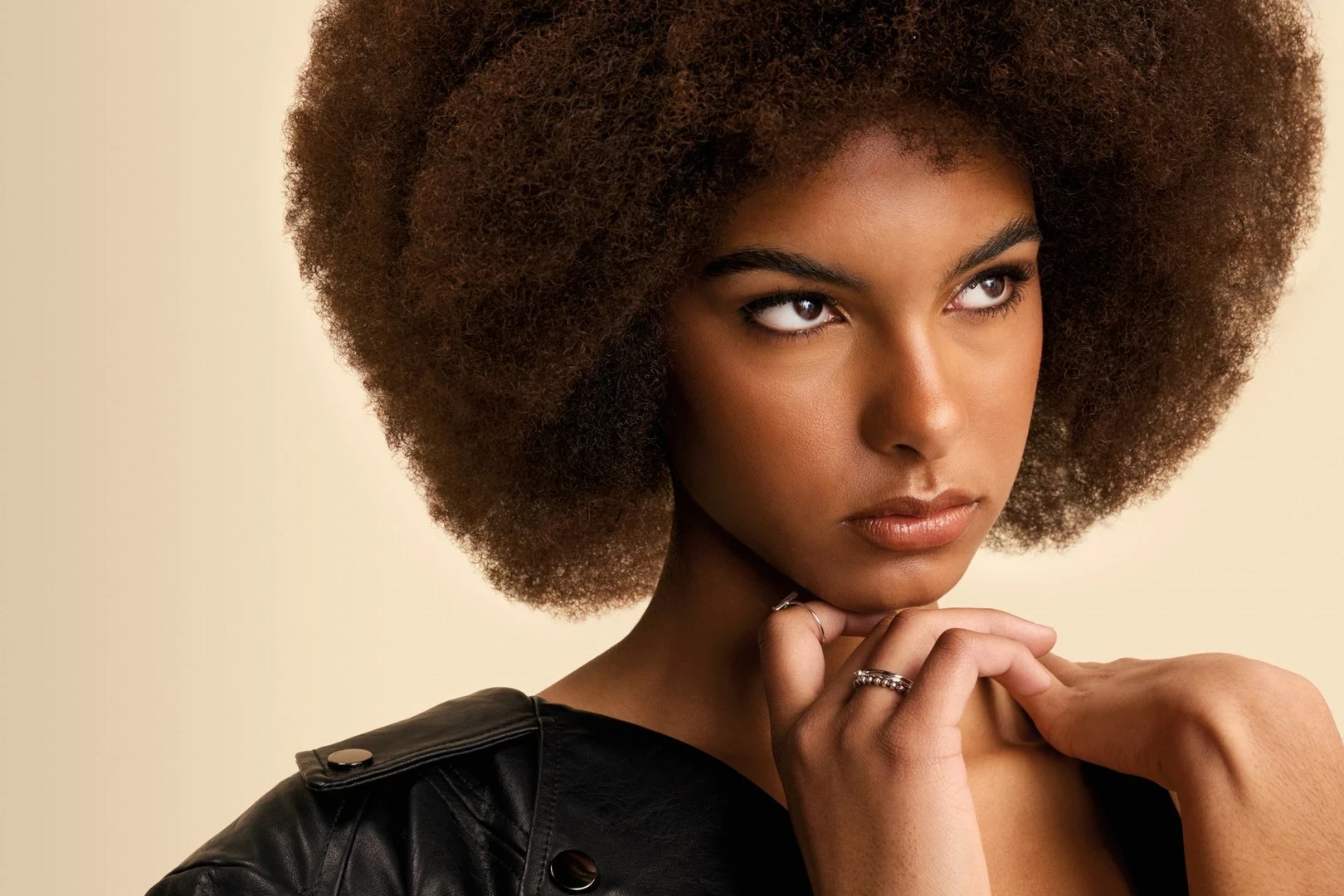 Multistyler Shark HD333EU, bel