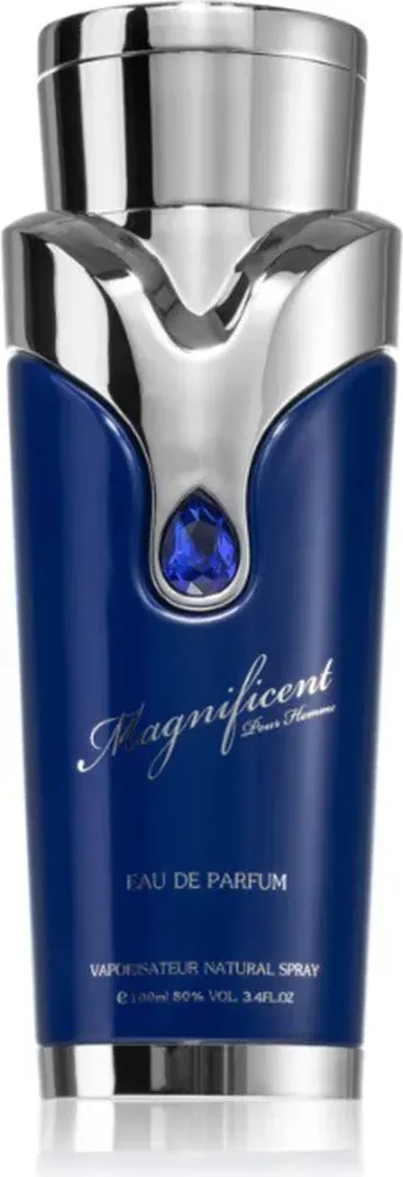 Eau de Parfum za moške Armaf Magnificent Pour Homme, 100 ml