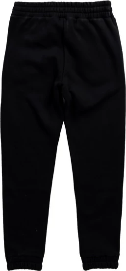 Trenirka spodnji del Blauer, črn