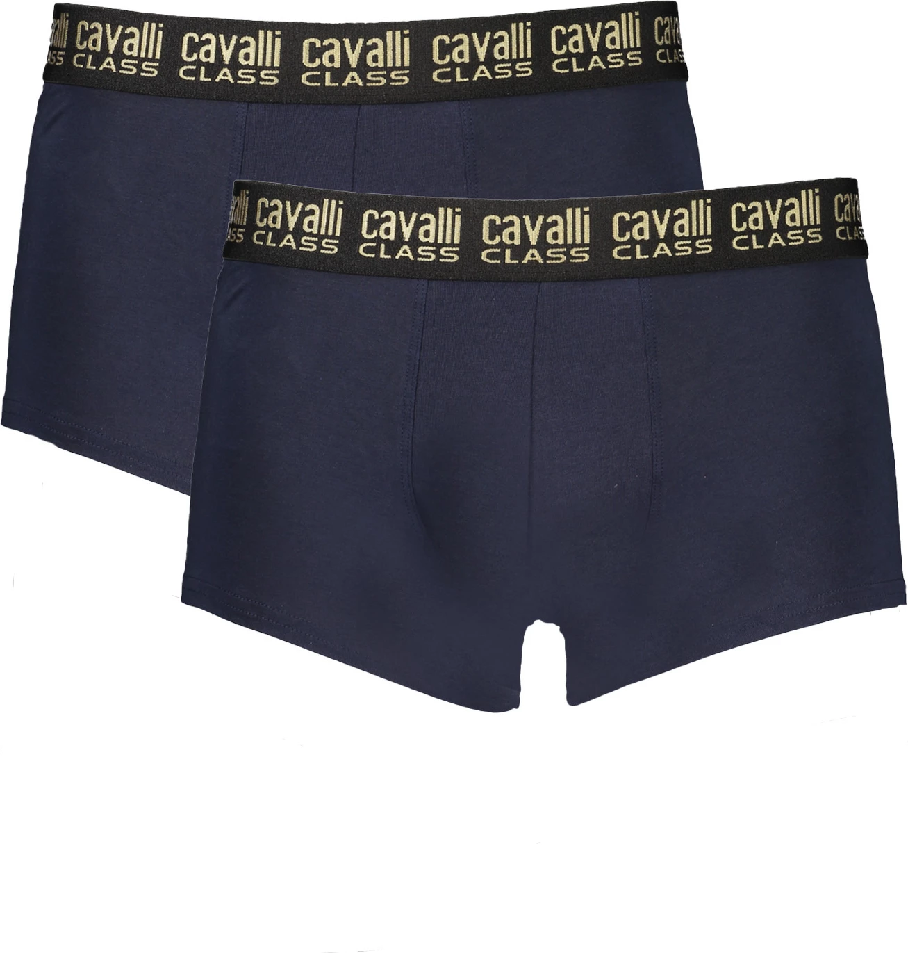 Tanga za moške CAVALLI CLASS, modre