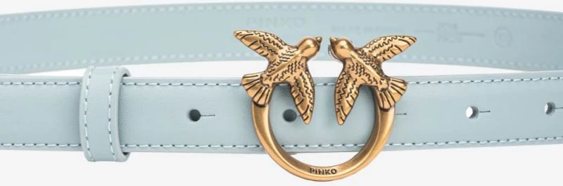 Usnjen pas, Pinko, modra