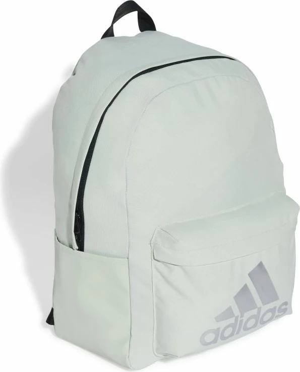 Nahrbtnik adidas, siv