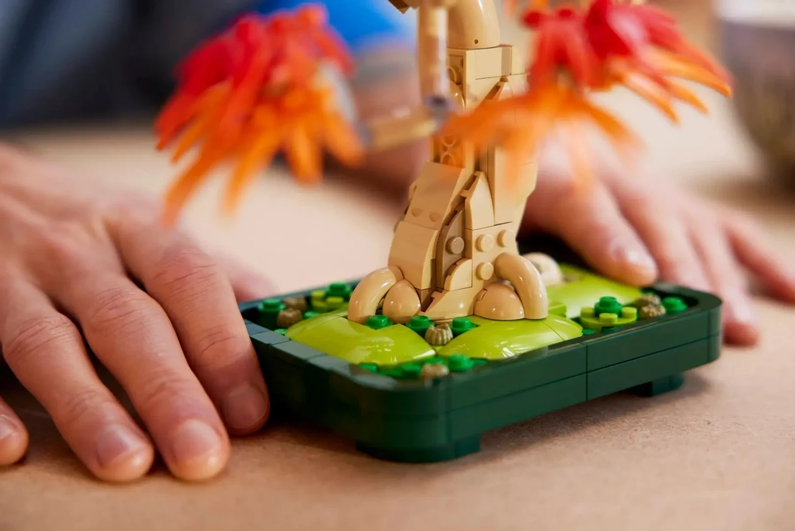 Dekorativni set japonski rdeči javor bonsaj 10348, za odrasle, 220 mm, rdeče/oranžen