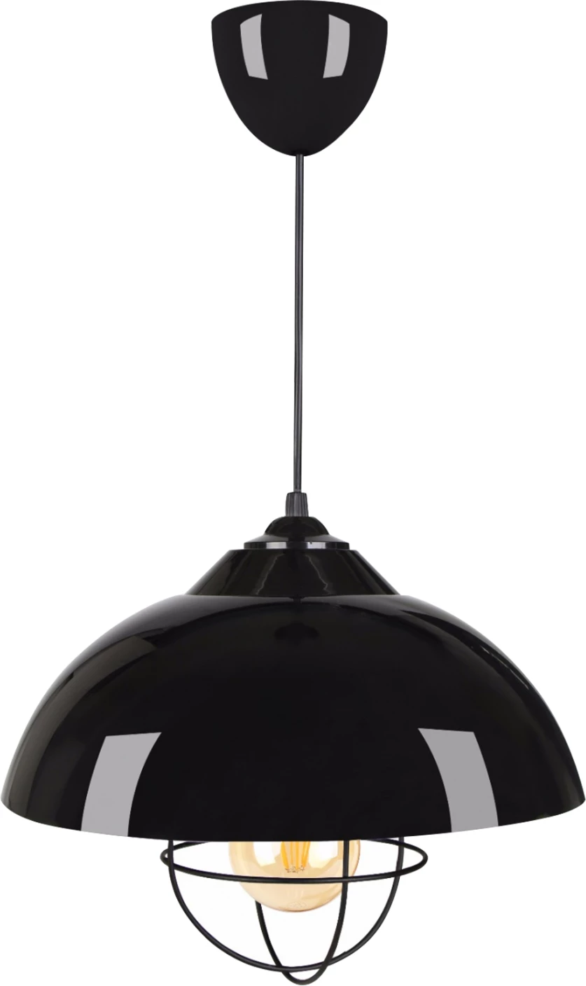 Viseča stropna svetilka FH7621.01 črna kapa, črna mreža za žarnico