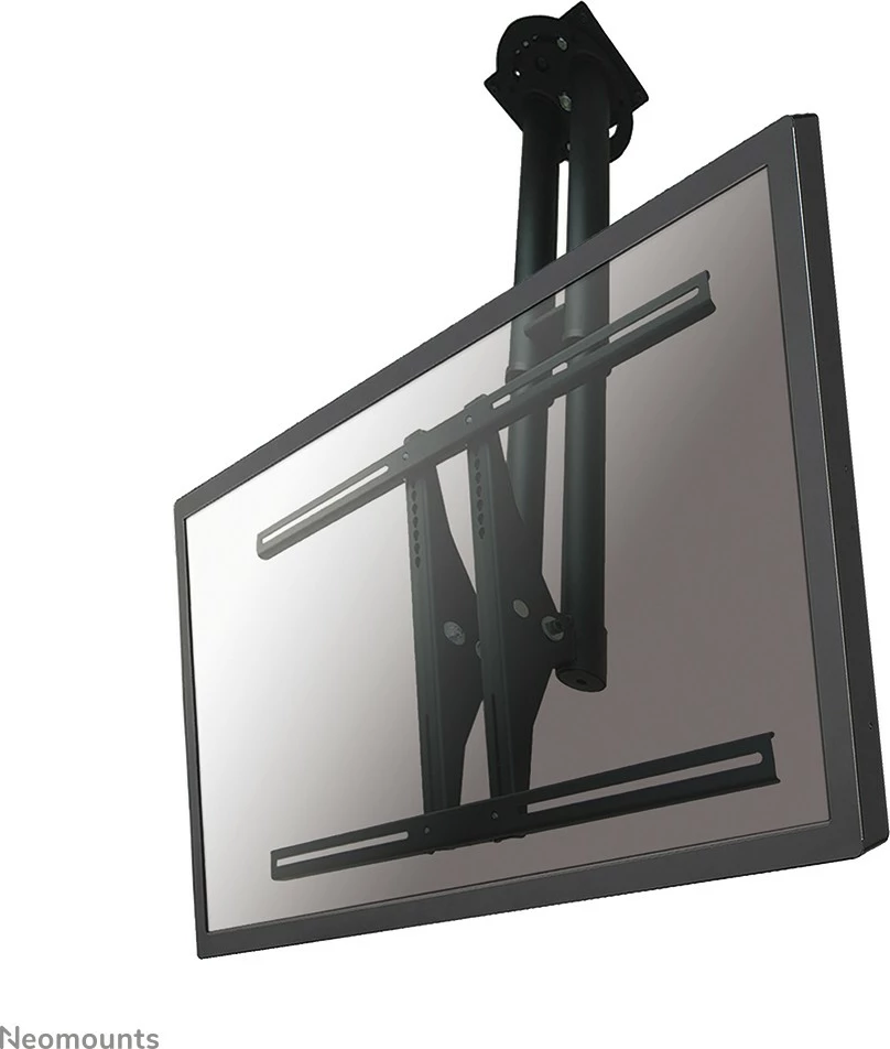 Stropni nosilec za TV/monitor Newstar PLASMA-C100BLACK, 37–75 palcev, nastavljiva višina, črn