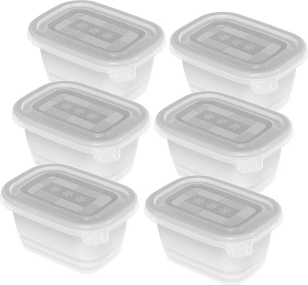 Posode za zamrzovanje, Rotho Freeze, 6x250 ml, prozorne